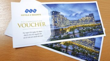 ODG Travels đưa ra các voucher FLC Quy Nhơn khuyến mãi hấp dẫn