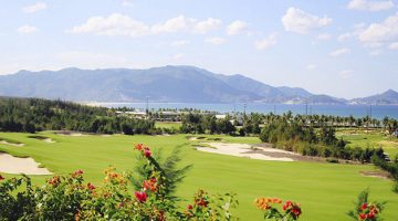 Stay & Play FLC Quy nhơn – Sân Golf FLC Quy Nhơn